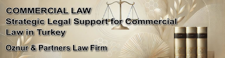 Commercial law in Turkey infographic showing contract law, dispute resolution, regulatory compliance, and international trade support by Istanbul-based lawyers