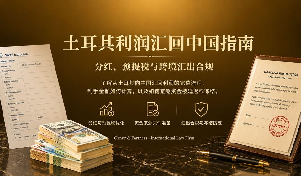 土耳其利润汇回中国指南