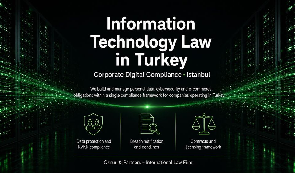 Information Technology Law