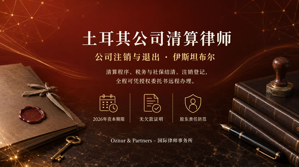 土耳其公司清算律师