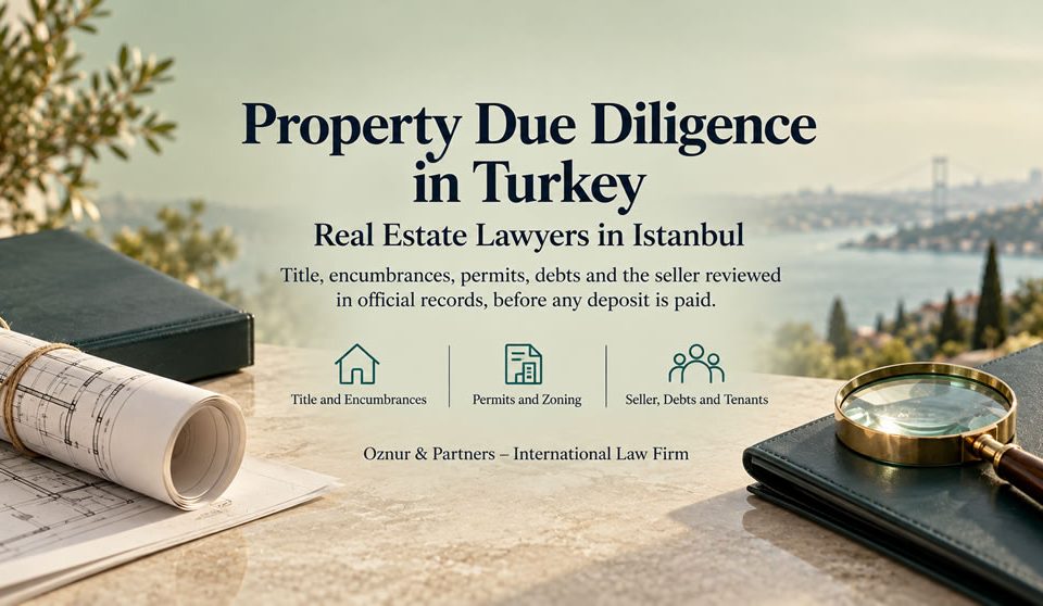 Property Due Diligence